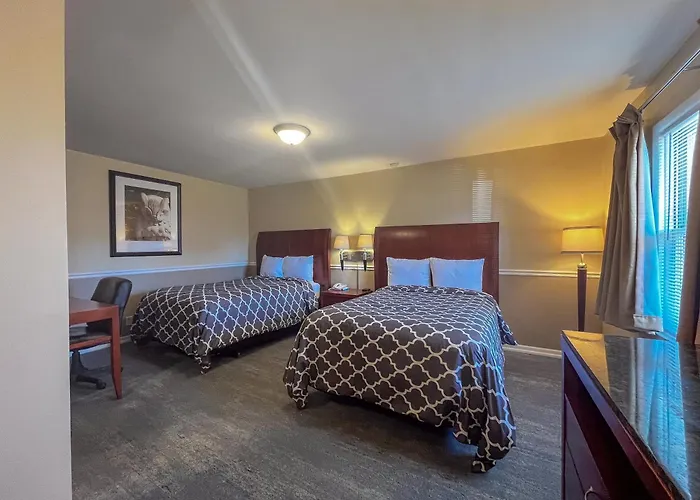 Motel Alpine & 3*