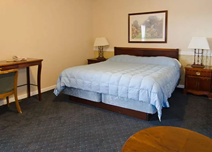 Motel Alpine &