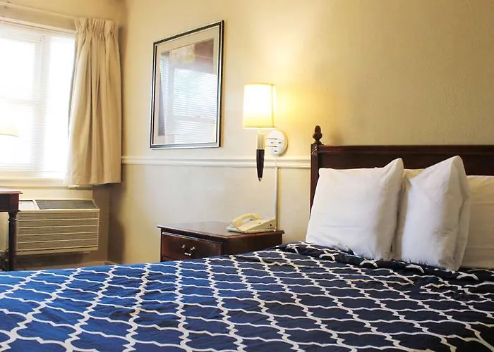 Alpine & Motel 3*